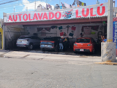 Auto Lavado Lulú